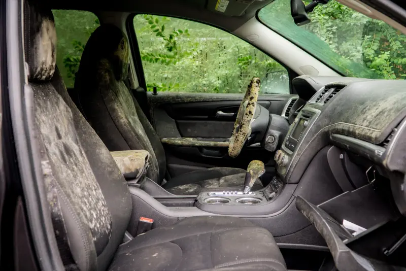 Car mould removal and odour treatment